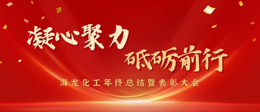 表彰 | 凝心聚力，砥礪前行，海龍化工年終總結(jié)暨表彰大會圓滿舉行