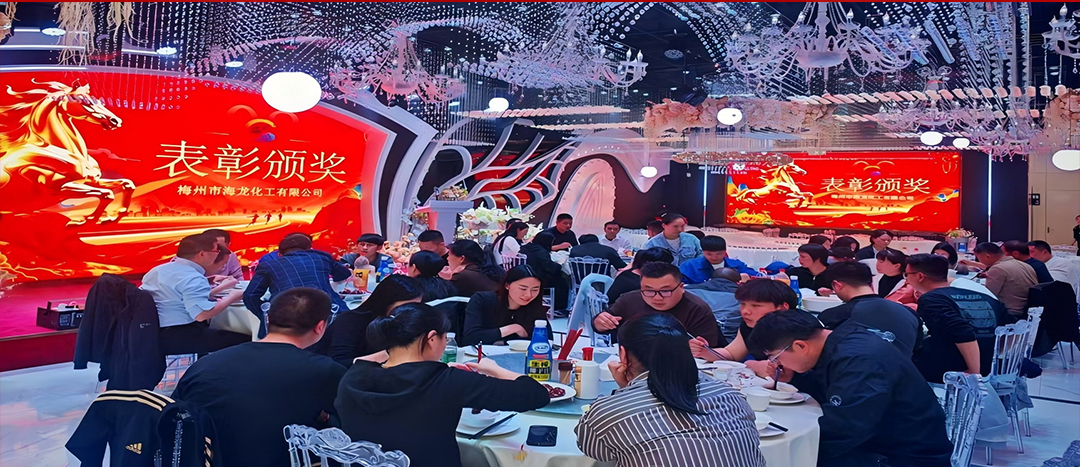 騏驥開道，奮進新篇 | 海龍化工2025年終工作總結表彰暨團年晚宴圓滿落幕